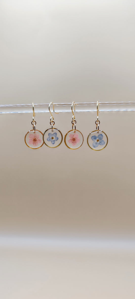 Aretes Flor No Me Olvides Azul – Chapa de Oro