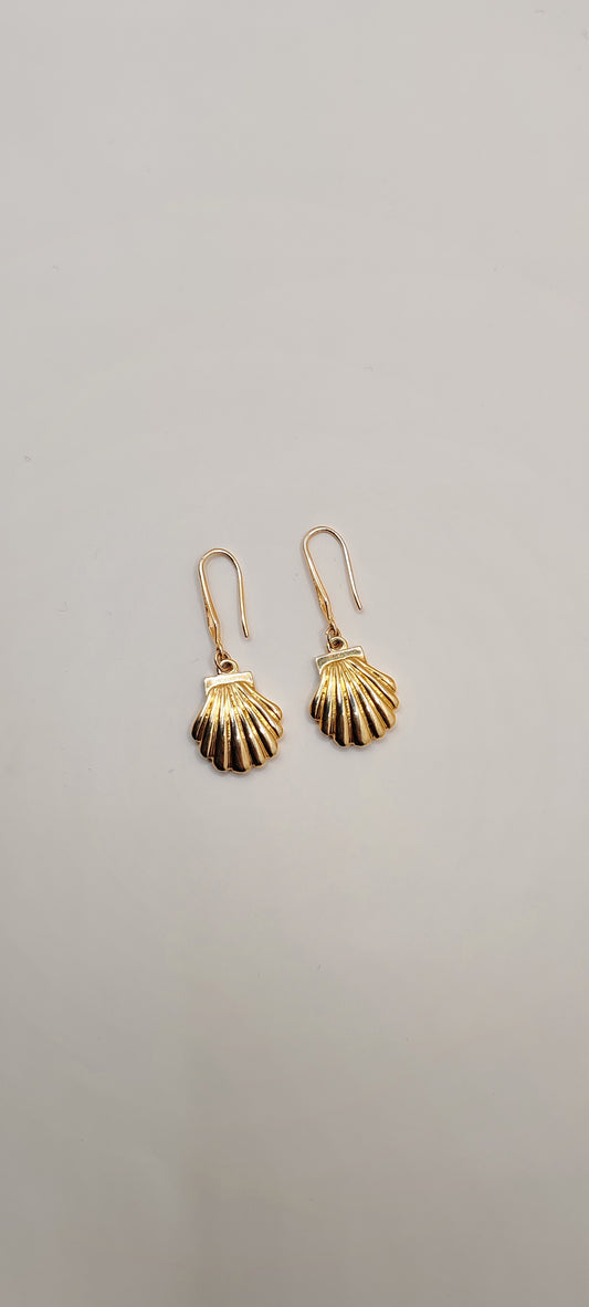 Aretes Concha Marina Dorada – Chapa de Oro 14K