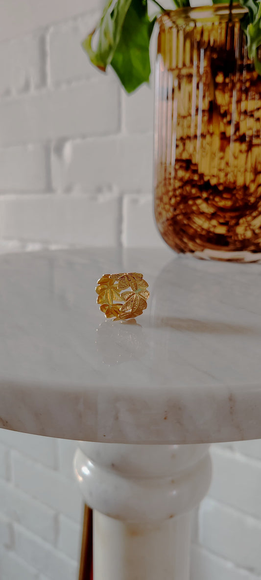 Anillo Jardín Dorado