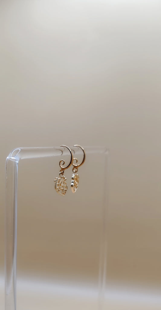 Aretes Corazón Anatómico – Chapa de Oro 14K