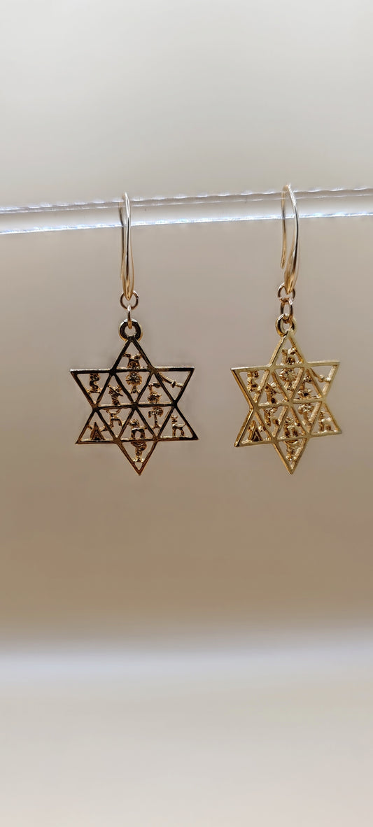 Aretes Estrella de David Místicos – Chapa de Oro 14K