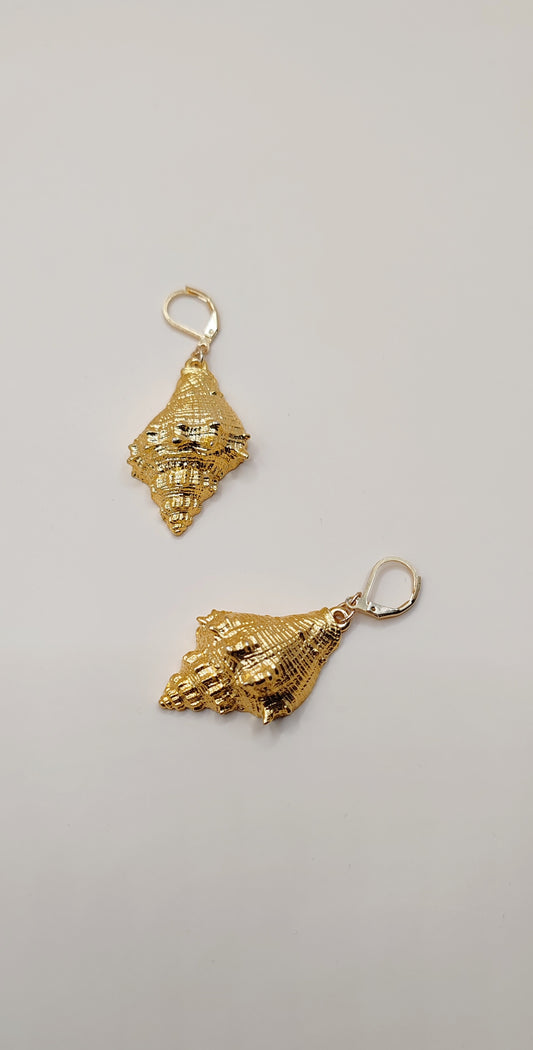 Aretes Concha Marina Elegante – Chapa de Oro 14K
