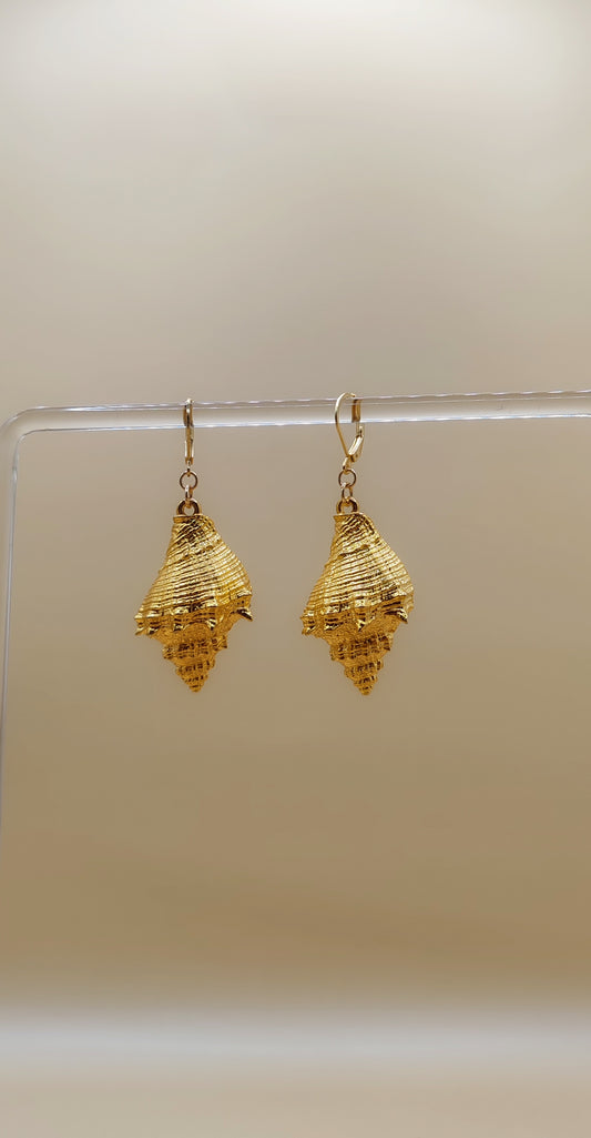 Aretes Concha Marina Elegante – Chapa de Oro 14K