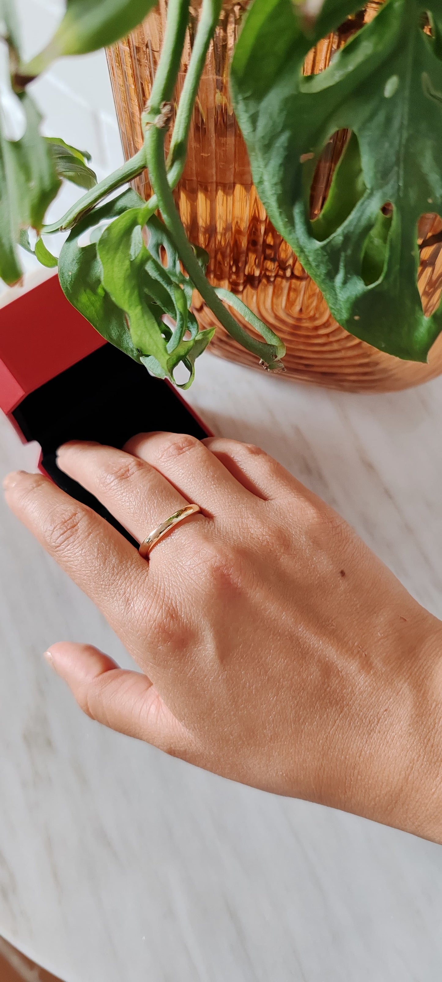 Anillo Clásico Dorado