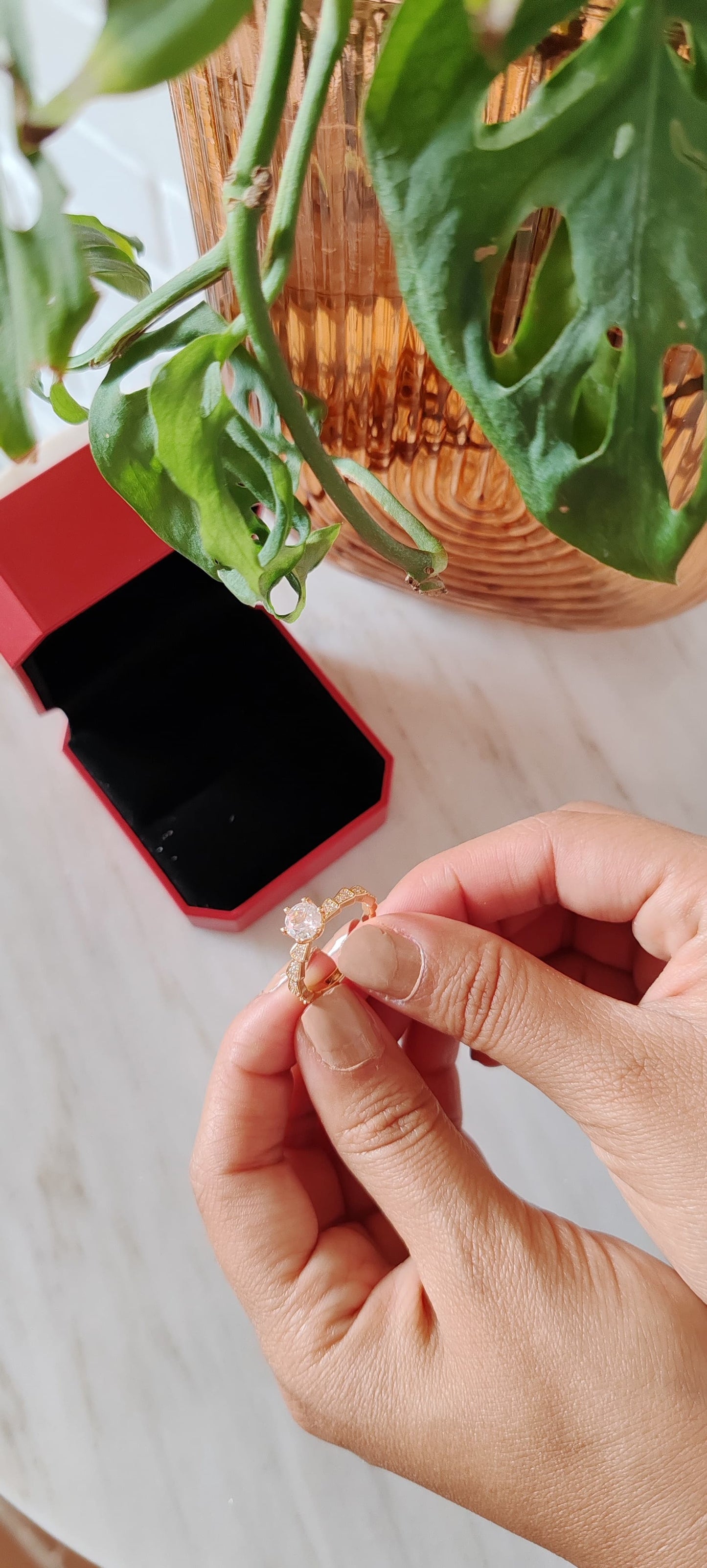 Anillo Clásico con Zirconia Central